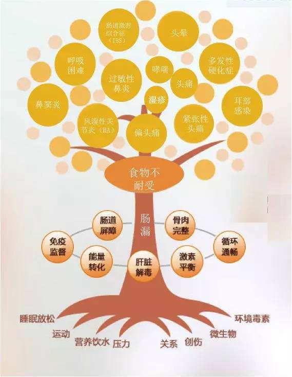 惠州基因检测