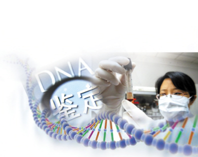 DNA鉴定