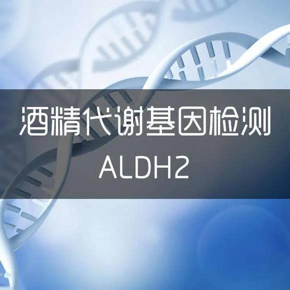 惠州酒精代谢能力基因检测