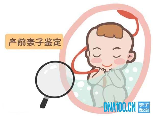 胎儿亲子鉴定