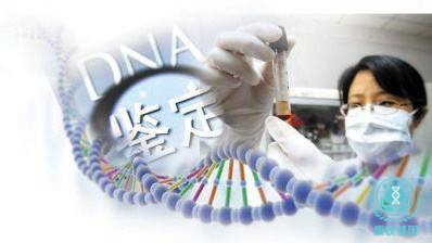 惠州亲子鉴定