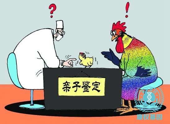 惠州dna亲子鉴定