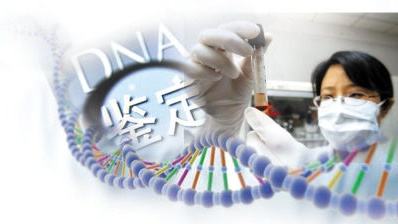 亲缘亲子鉴定