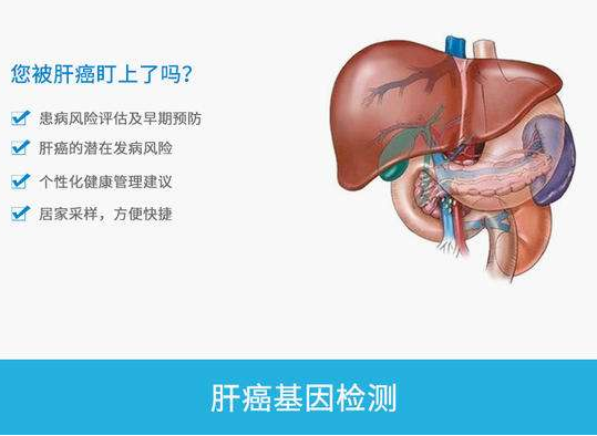 惠州基因检测
